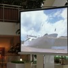 小笠原諸島のユネスコによる世界自然遺産登録の実現を目指す