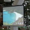 小笠原諸島のユネスコによる世界自然遺産登録の実現を目指す