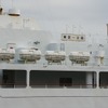 小笠原諸島のユネスコによる世界自然遺産登録の実現を目指す