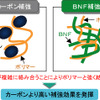 植物由来の新素材「バイオナノファイバー」