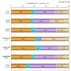 小・中学生の年賀状やお年玉に関するアンケート…ネットマイル調べ 年賀状はどうやって作りましたか？