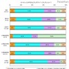 小・中学生の年賀状やお年玉に関するアンケート…ネットマイル調べ もらったお年玉はどうしますか？