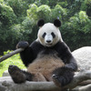 提供＝上野動物園