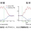 小学生、英単語を処理する脳活動の基本パターンを解明 神経活動に伴う酸素化ヘモグロビン、および脱酸素化ヘモグロビンの相対的変化