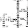 被災地域へ向かう高速道路は災害に必要な人員や資材などを運ぶ緊急車両以外は走行できない。