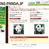 どうして白黒なの？　まもなく公開のパンダを研究 UENO-PANDA.JP