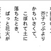 金子みすゞ「こだまでしょうか」が電子書籍化、被災者へのチャリティーも 金子みすゞ童謡集「こだまでしょうか」