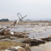 東日本大震災 津波は高台まで押し寄せ、室内には大きな魚が