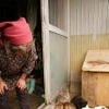 東日本大震災 田代島の住人「生まれて初めての経験」