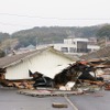 東日本大震災 田代島 電柱の一番上で津波に耐えた