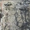 福島第一原発1号機 福島第一原発1号機