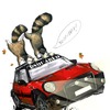MINI Red Mudder