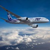 ANAボーイング787特別塗装