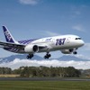 ANAボーイング787特別塗装