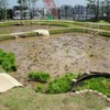 首都高速道路、大橋ジャンクションの換気所屋上に現れた水田で小学生が田植えを体験