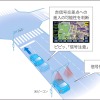 トヨタ自動車DSSSに対応したカーナビを開発。赤信号注意喚起