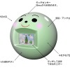 SANZOの姿