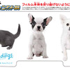 スクラッチカード for ニンテンドー3DS スクラッチカード for ニンテンドー3DS