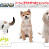 スクラッチカード for ニンテンドー3DS スクラッチカード for ニンテンドー3DS