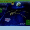 夜の森で木から木へ飛ぶ動物なあに？