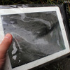 「iPad防水ケース 200-PDA029」