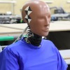 鞭打ち解析用ダミー