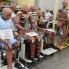 左から、可動部分を増やしたAM50ダミー、センサーチャネルを大幅に増やした次世代ダミー、妊婦・胎児を想定したダミー、歩行者へのダメージを計測するダミー