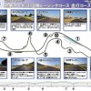 コース