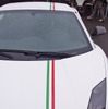 ランボルギーニ ガヤルド LP550-2 トリコローレ