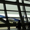 検証飛行で来日した、ANA塗装の、ボーイング社有787ドリームライナー（7月上旬）