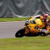 鈴鹿8時間耐久ロードレース2011