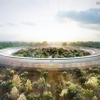 Apple Campus2