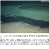 8月4日撮影。海底の亀裂。幅、深さともに約1m。亀裂は南北方向に走り、少なくとも約80m続く