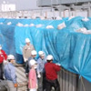 ルネサス、震災から復興した軌跡を配信［動画］