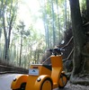京大発ベンチャー3輪EV、価格は30万円前後に