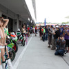 【Today'sオートガール】鈴鹿4時間耐久ロードレース