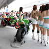 【Today'sオートガール】鈴鹿4時間耐久ロードレース