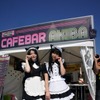 アキバ系美少女もF1を応援！