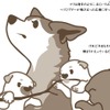 山古志村のマリと三匹の子犬