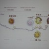 【GDC China 2011】日本でも成功するHappy Elementsが語る「長く愛されるソーシャルゲーム」の作り方と国際展開 詳細
