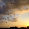 熱気球ホンダグランプリ。初冬の午後のタスクは夕刻にかかる。ロマンティックな光景である。