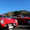 OSCA1600GT（左）とランチア・フラミニアザガートが並ぶ