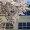 大手塾に聞く2012年中学受験