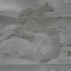 「第63回 さっぽろ雪まつり」が開幕！ 　