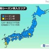 花粉シーズン突入エリア