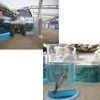 京都水族館かいじゅうゾーン