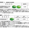 エコカー補助金の適用要件