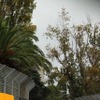 F1オーストラリアGP（2011年）