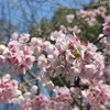 上野公園