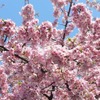 上野公園